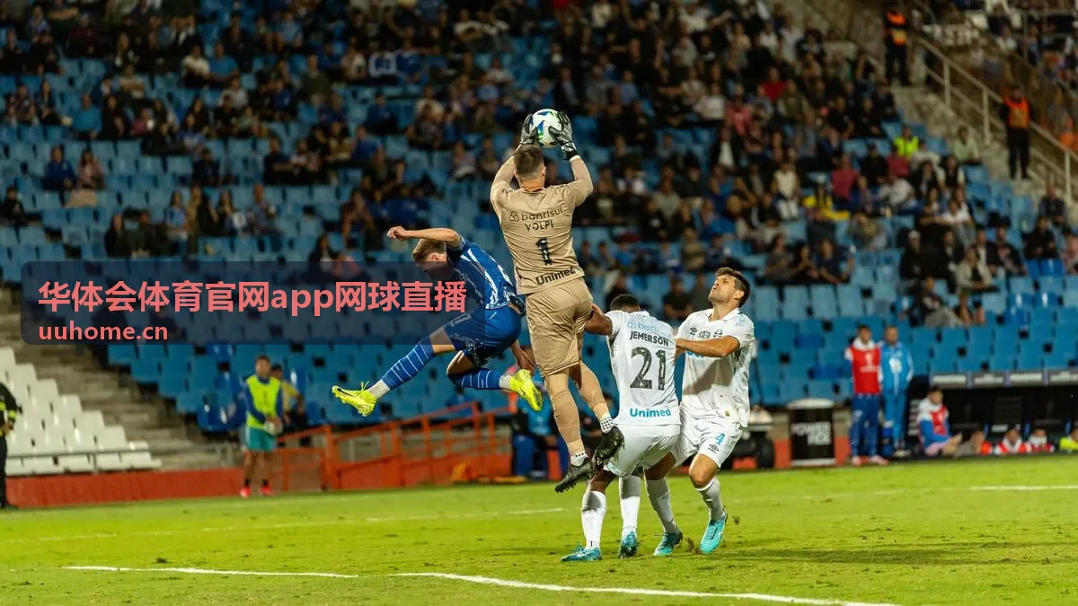 华体会体育官网app网球直播草地热身赛封面